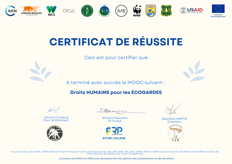 Certificate Background