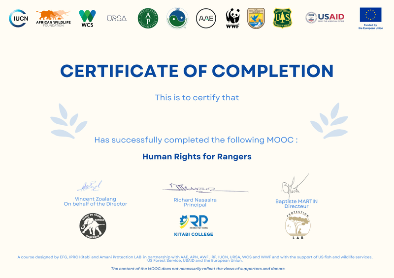 Certificate Background