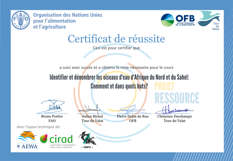 Certificate Background