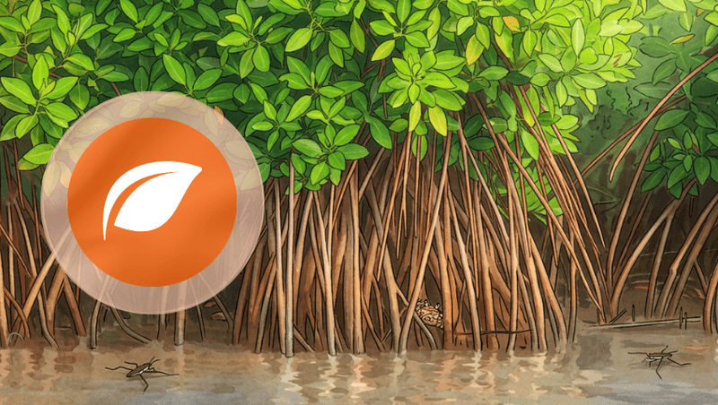 Tutorial - Mangrove restoration TUTO-MANG